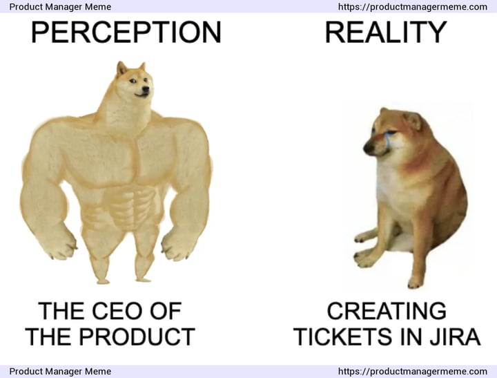 Is the Product Manager the CEO of the Product? - ProductFTW #91